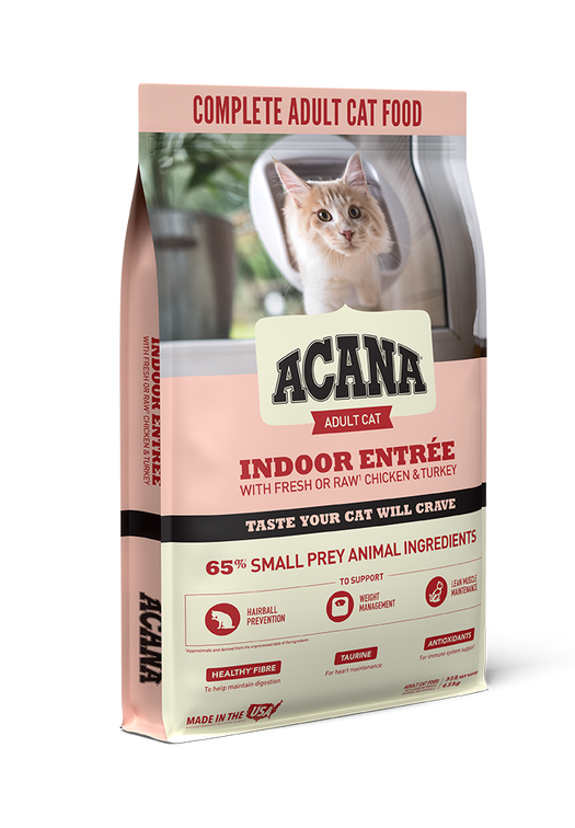 Indoor Entrée